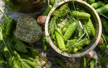 Quick Pickled Cucumber